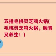 五指毛桃灵芝鸡火锅(毛桃灵芝鸡火锅，暖胃又养生！)