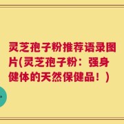 灵芝孢子粉推荐语录图片(灵芝孢子粉：强身健体的天然保健品！)