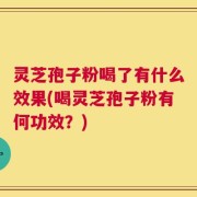 灵芝孢子粉喝了有什么效果(喝灵芝孢子粉有何功效？)