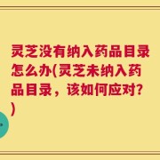 灵芝没有纳入药品目录怎么办(灵芝未纳入药品目录，该如何应对？)