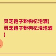 灵芝孢子粉枸杞泡酒(灵芝孢子粉枸杞浸泡酒)