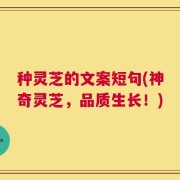 种灵芝的文案短句(神奇灵芝，品质生长！)