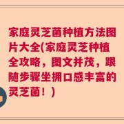 家庭灵芝菌种植方法图片大全(家庭灵芝种植全攻略，图文并茂，跟随步骤坐拥口感丰富的灵芝菌！)