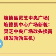 旌德县灵芝中央广场(旌德县中心广场新貌：灵芝中央广场改头换面焕发勃勃生机)