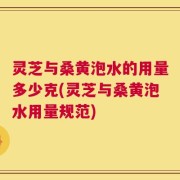 灵芝与桑黄泡水的用量多少克(灵芝与桑黄泡水用量规范)