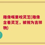 雕像嘴里咬灵芝(雕像含着灵芝，被视为吉祥物)