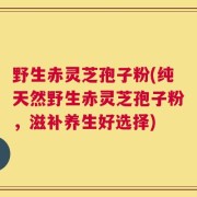 野生赤灵芝孢子粉(纯天然野生赤灵芝孢子粉，滋补养生好选择)