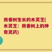 阴香树生长的木灵芝(木灵芝：阴香树上的神奇灵药)