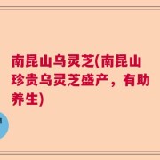 南昆山乌灵芝(南昆山珍贵乌灵芝盛产，有助养生)
