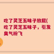 吃了灵芝五味子放屁(吃了灵芝五味子，引发臭气纷飞