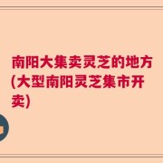 南阳大集卖灵芝的地方(大型南阳灵芝集市开卖)