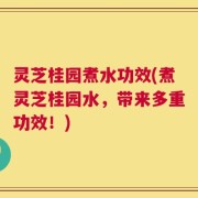 灵芝桂园煮水功效(煮灵芝桂园水，带来多重功效！)