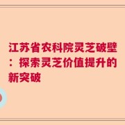 江苏省农科院灵芝破壁：探索灵芝价值提升的新突破