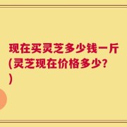现在买灵芝多少钱一斤(灵芝现在价格多少？)