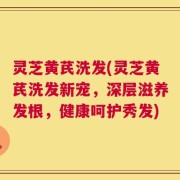 灵芝黄芪洗发(灵芝黄芪洗发新宠，深层滋养发根，健康呵护秀发)