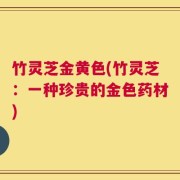 竹灵芝金黄色(竹灵芝：一种珍贵的金色药材)