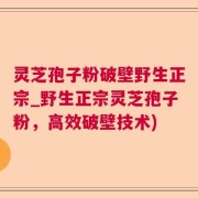 灵芝孢子粉破壁野生正宗_野生正宗灵芝孢子粉，高效破壁技术)