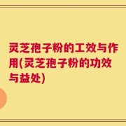 灵芝孢子粉的工效与作用(灵芝孢子粉的功效与益处)