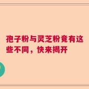 孢子粉与灵芝粉竟有这些不同，快来揭开