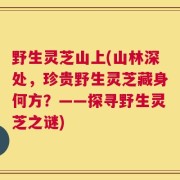 野生灵芝山上(山林深处，珍贵野生灵芝藏身何方？——探寻野生灵芝之谜)