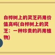 白桦树上的灵芝药用价值高吗(白桦树上的灵芝：一种珍贵的药用植物)