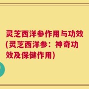 灵芝西洋参作用与功效(灵芝西洋参：神奇功效及保健作用)