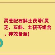 灵芝配石斛土茯苓(灵芝、石斛、土茯苓组合，神效备至)
