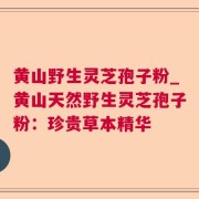 黄山野生灵芝孢子粉_黄山天然野生灵芝孢子粉：珍贵草本精华