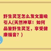 野生灵芝怎么发文案吸引人(天然神草！如何品鉴野生灵芝，享受健康福音？)