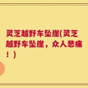 灵芝越野车坠崖(灵芝越野车坠崖，众人悲痛！)