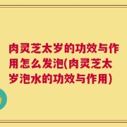 肉灵芝太岁的功效与作用怎么发泡(肉灵芝太岁泡水的功效与作用)