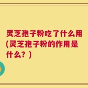 灵芝孢子粉吃了什么用(灵芝孢子粉的作用是什么？)