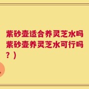 紫砂壶适合养灵芝水吗紫砂壶养灵芝水可行吗？)