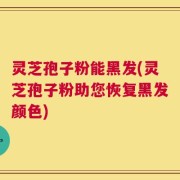 灵芝孢子粉能黑发(灵芝孢子粉助您恢复黑发颜色)