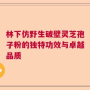 林下仿野生破壁灵芝孢子粉的独特功效与卓越品质