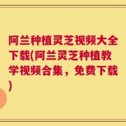 阿兰种植灵芝视频大全下载(阿兰灵芝种植教学视频合集，免费下载)