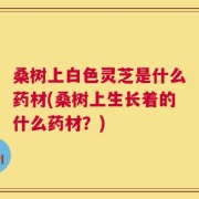 桑树上白色灵芝是什么药材(桑树上生长着的什么药材？)