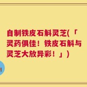 自制铁皮石斛灵芝(「灵药俱佳！铁皮石斛与灵芝大放异彩！」)