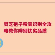 灵芝孢子粉真识别全攻略教你辨别优劣品质