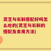 灵芝与石斛搭配好吗怎么吃的(灵芝与石斛的搭配及食用方法)