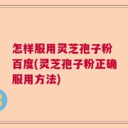 怎样服用灵芝孢子粉 百度(灵芝孢子粉正确服用方法)