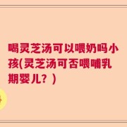 喝灵芝汤可以喂奶吗小孩(灵芝汤可否喂哺乳期婴儿？)