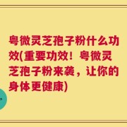 粤微灵芝孢子粉什么功效(重要功效！粤微灵芝孢子粉来袭，让你的身体更健康)
