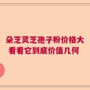 朵芝灵芝孢子粉价格大 看看它到底价值几何