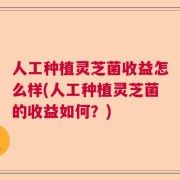 人工种植灵芝菌收益怎么样(人工种植灵芝菌的收益如何？)