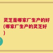 灵芝是哪家厂生产的好(哪家厂生产的灵芝好)