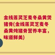 金线莲灵芝麦冬桑黄煲猪骨(金线莲灵芝麦冬桑黄炖猪骨营养丰富，味道鲜美)