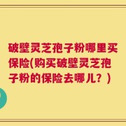 破壁灵芝孢子粉哪里买保险(购买破壁灵芝孢子粉的保险去哪儿？)