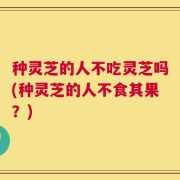 种灵芝的人不吃灵芝吗(种灵芝的人不食其果？)