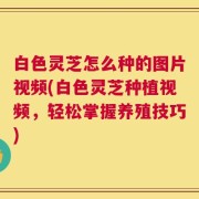 白色灵芝怎么种的图片视频(白色灵芝种植视频，轻松掌握养殖技巧)